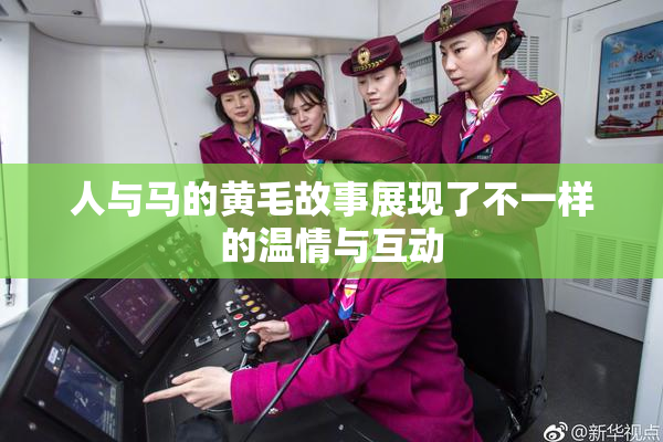 人与马的黄毛故事展现了不一样的温情与互动