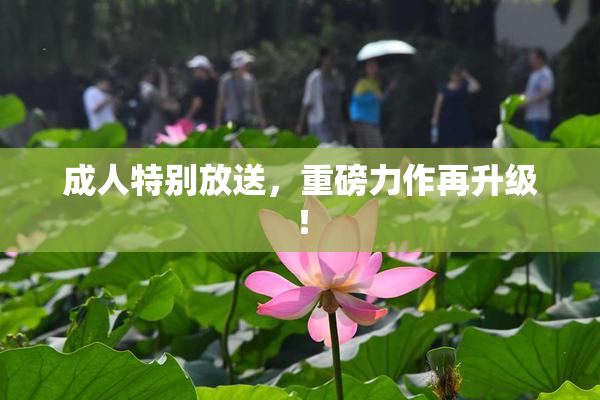 成人特别放送，重磅力作再升级！