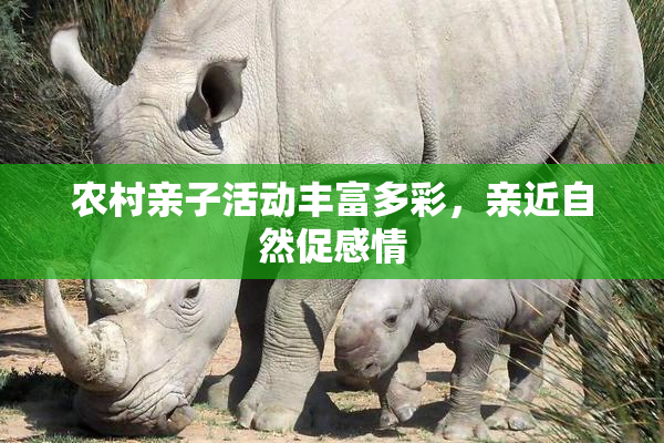 农村亲子活动丰富多彩，亲近自然促感情