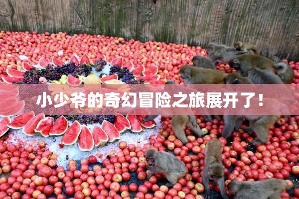 小少爷的奇幻冒险之旅展开了！
