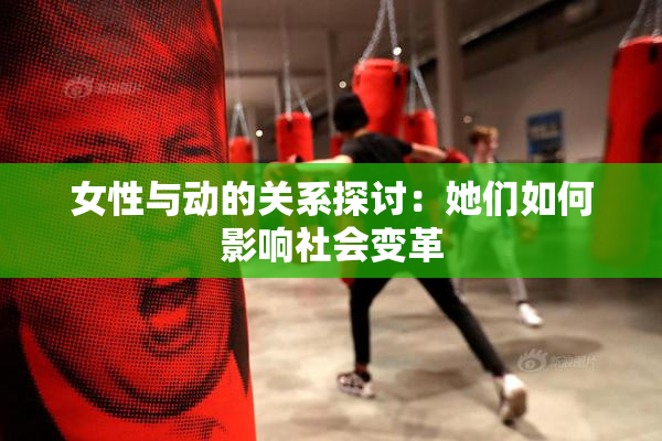 女性与动的关系探讨：她们如何影响社会变革