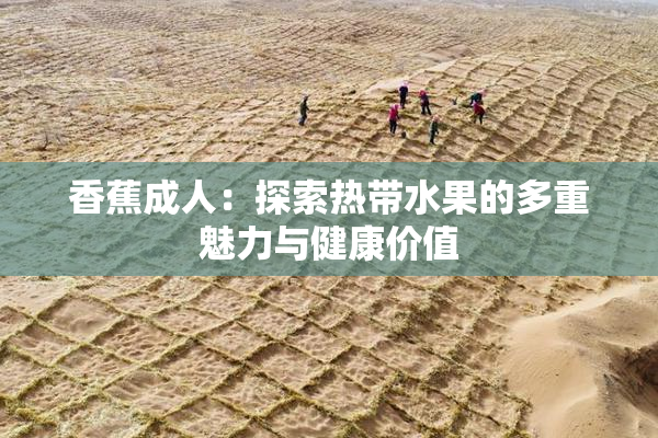 香蕉成人：探索热带水果的多重魅力与健康价值