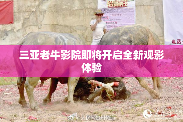 三亚老牛影院即将开启全新观影体验