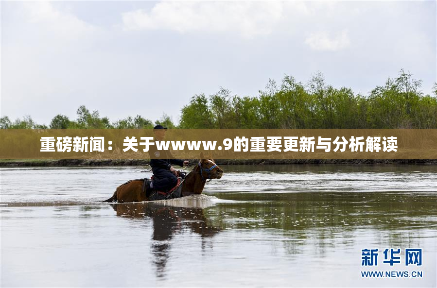 重磅新闻：关于wwww.9的重要更新与分析解读