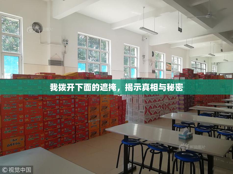 我拨开下面的遮掩，揭示真相与秘密