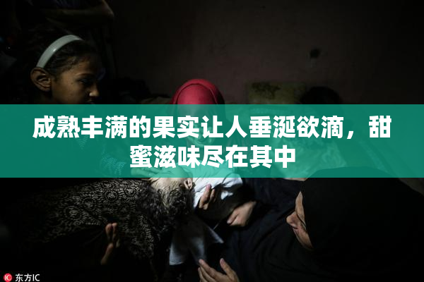 成熟丰满的果实让人垂涎欲滴，甜蜜滋味尽在其中