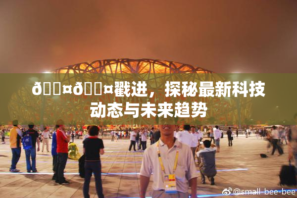 🐤🐤戳进，探秘最新科技动态与未来趋势