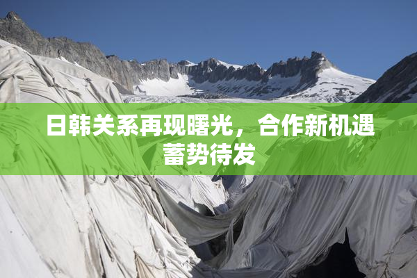 日韩关系再现曙光，合作新机遇蓄势待发