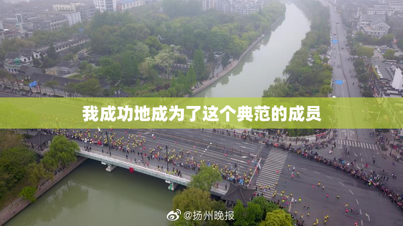 我成功地成为了这个典范的成员