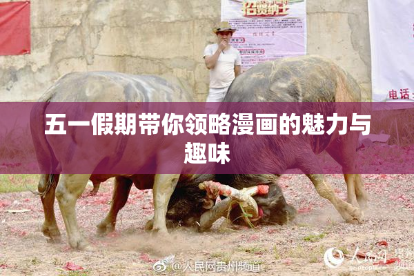 五一假期带你领略漫画的魅力与趣味