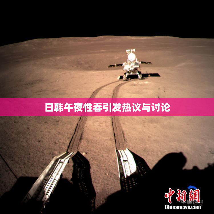 日韩午夜性春引发热议与讨论