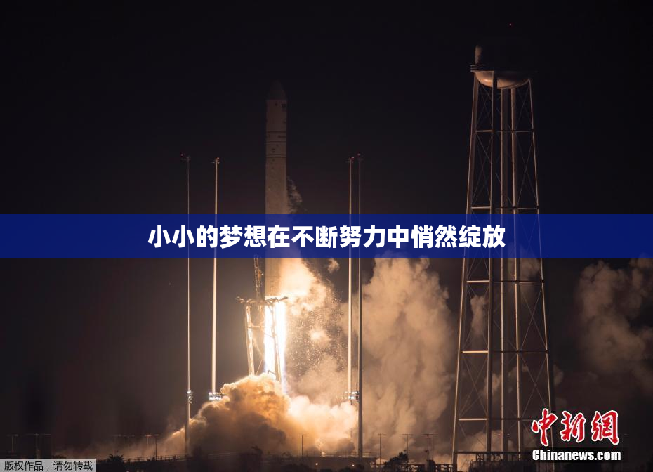 小小的梦想在不断努力中悄然绽放