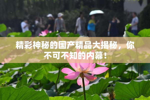 精彩神秘的国产精品大揭秘，你不可不知的内幕！