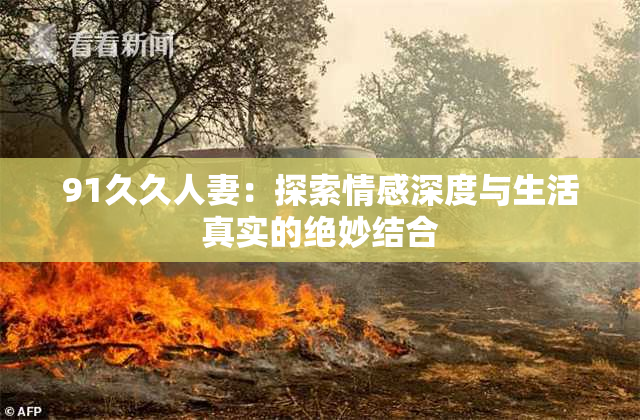 91久久人妻：探索情感深度与生活真实的绝妙结合