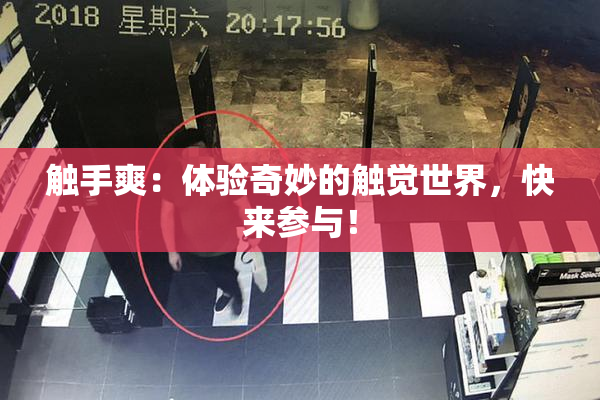 触手爽：体验奇妙的触觉世界，快来参与！