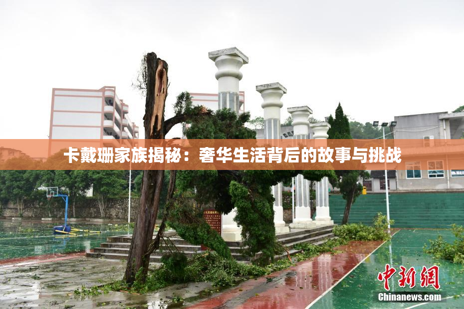 卡戴珊家族揭秘：奢华生活背后的故事与挑战