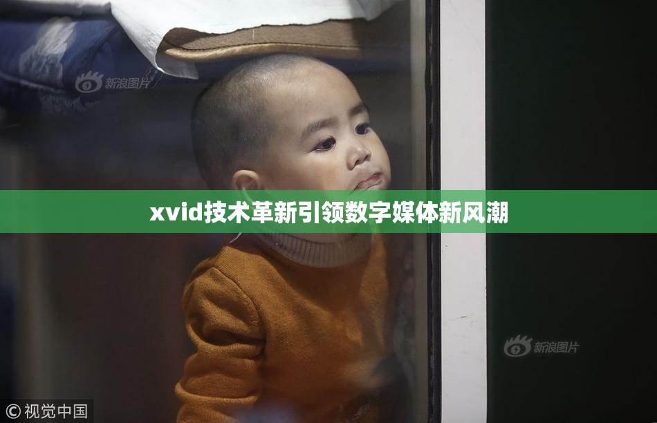 xvid技术革新引领数字媒体新风潮