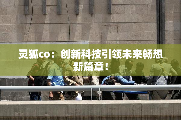 灵狐co：创新科技引领未来畅想新篇章！