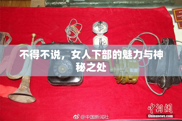 不得不说，女人下部的魅力与神秘之处