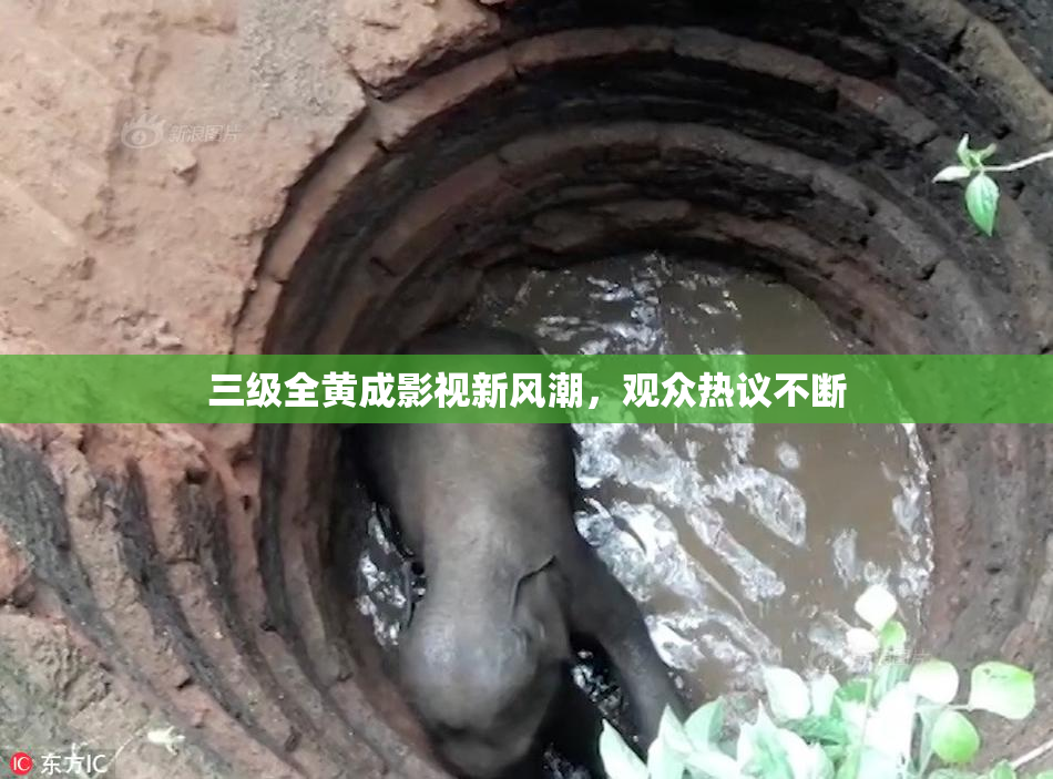 三级全黄成影视新风潮，观众热议不断