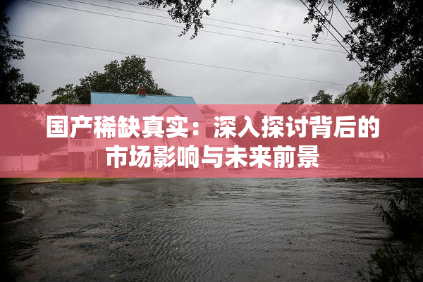 国产稀缺真实：深入探讨背后的市场影响与未来前景