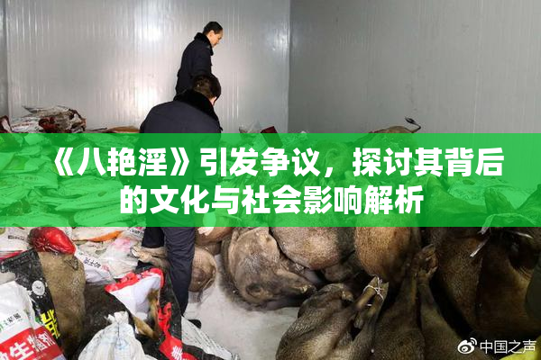 《八艳淫》引发争议，探讨其背后的文化与社会影响解析