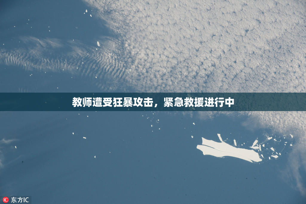教师遭受狂暴攻击，紧急救援进行中