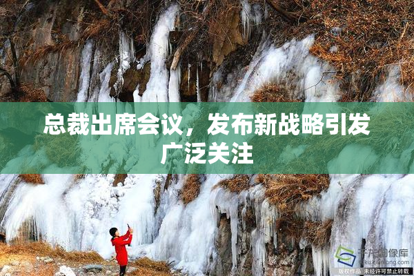 总裁出席会议，发布新战略引发广泛关注