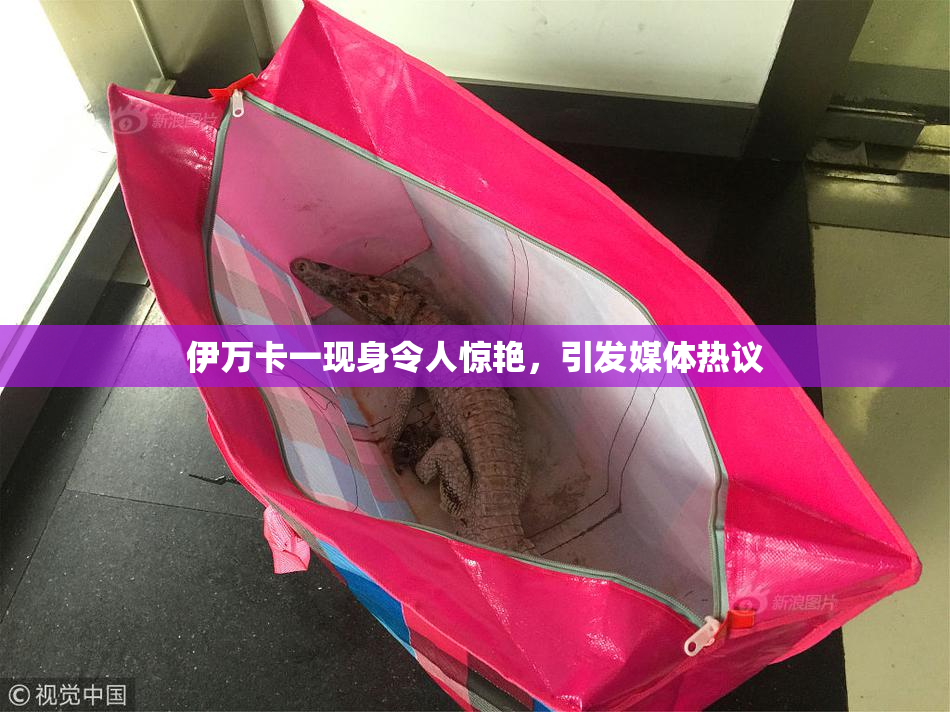 伊万卡一现身令人惊艳，引发媒体热议