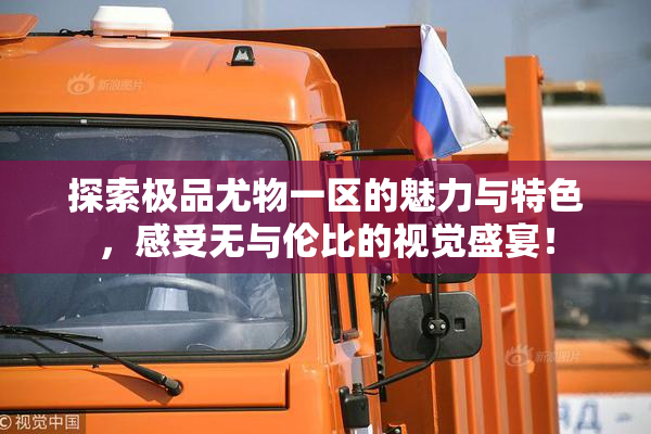 探索极品尤物一区的魅力与特色，感受无与伦比的视觉盛宴！
