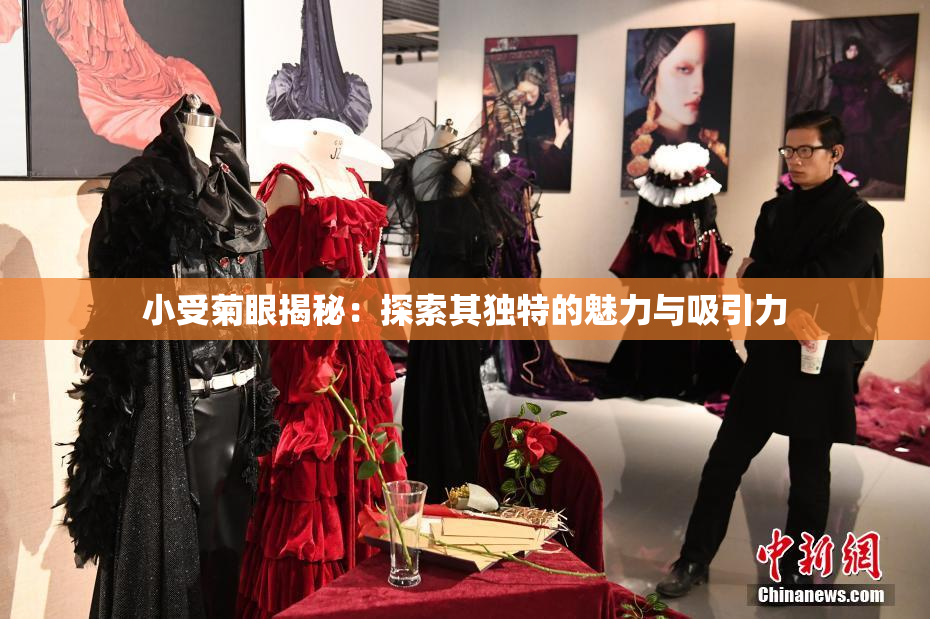 小受菊眼揭秘：探索其独特的魅力与吸引力