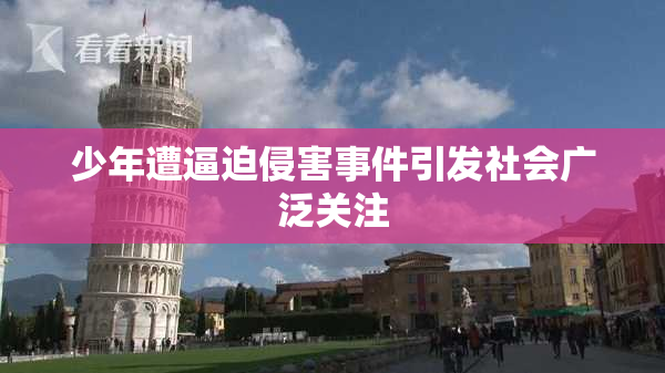 少年遭逼迫侵害事件引发社会广泛关注