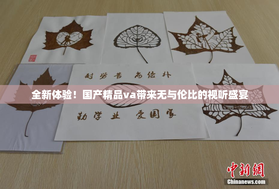 全新体验！国产精品va带来无与伦比的视听盛宴
