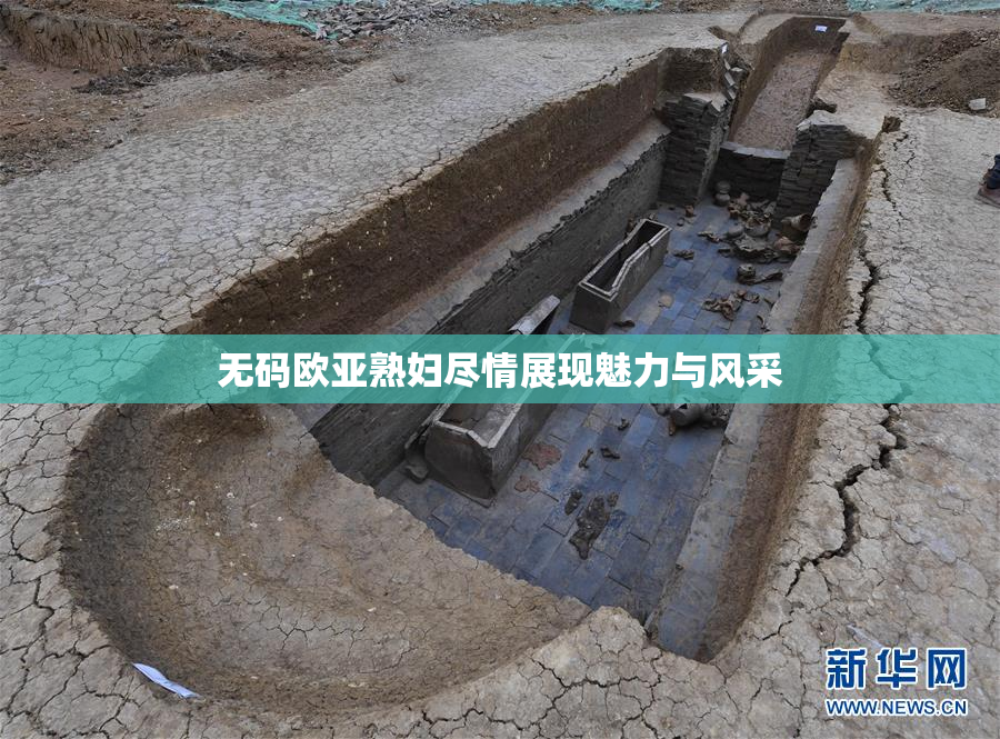 无码欧亚熟妇尽情展现魅力与风采