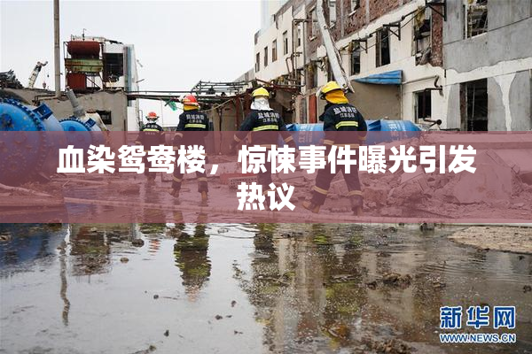 血染鸳鸯楼，惊悚事件曝光引发热议