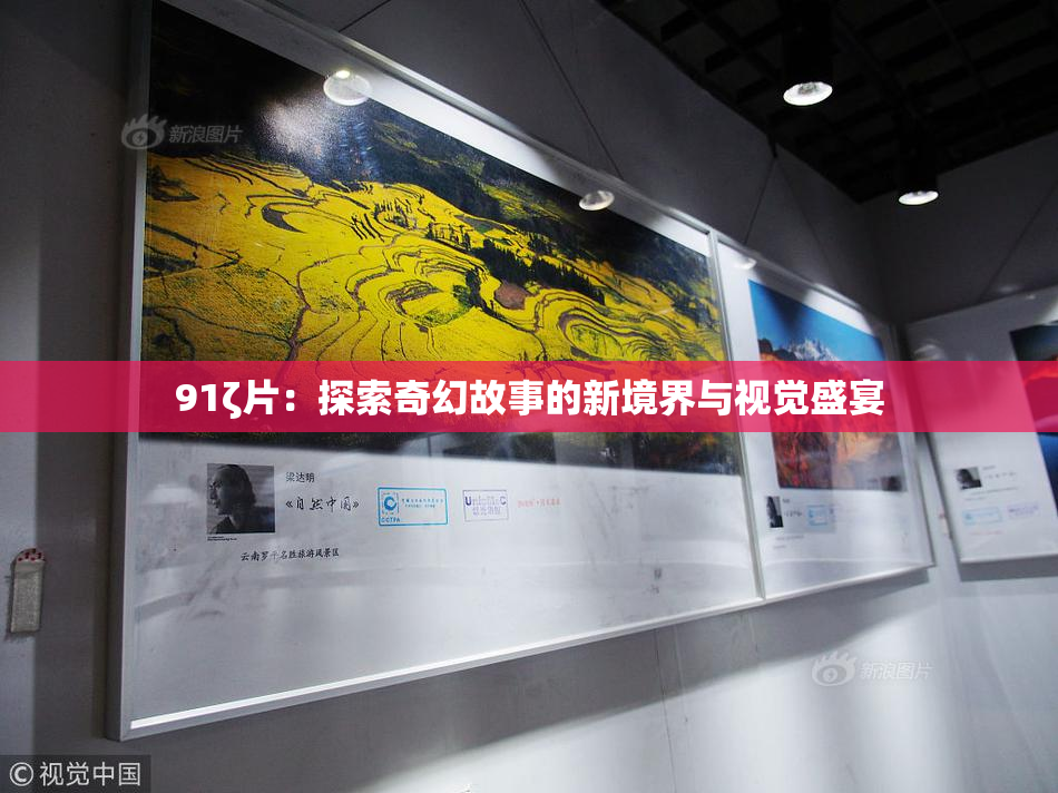 91ζ片：探索奇幻故事的新境界与视觉盛宴