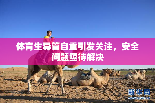 体育生导管自重引发关注，安全问题亟待解决