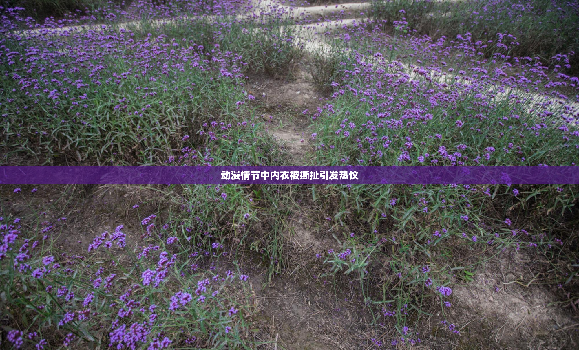 动漫情节中内衣被撕扯引发热议