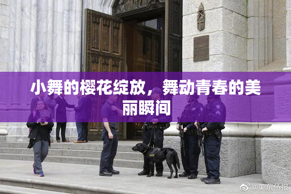 小舞的樱花绽放，舞动青春的美丽瞬间