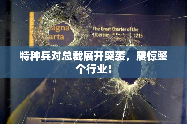 特种兵对总裁展开突袭，震惊整个行业！