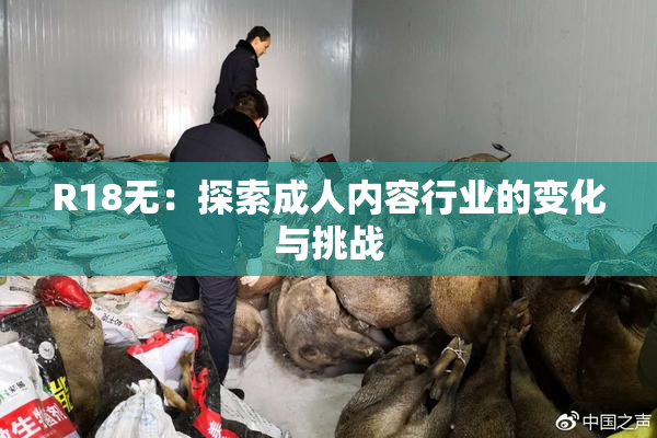 R18无：探索成人内容行业的变化与挑战