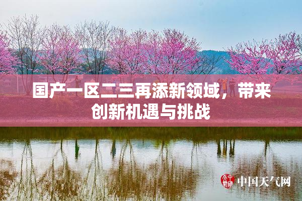国产一区二三再添新领域，带来创新机遇与挑战