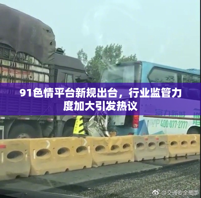 91色情平台新规出台，行业监管力度加大引发热议