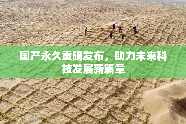 国产永久重磅发布，助力未来科技发展新篇章