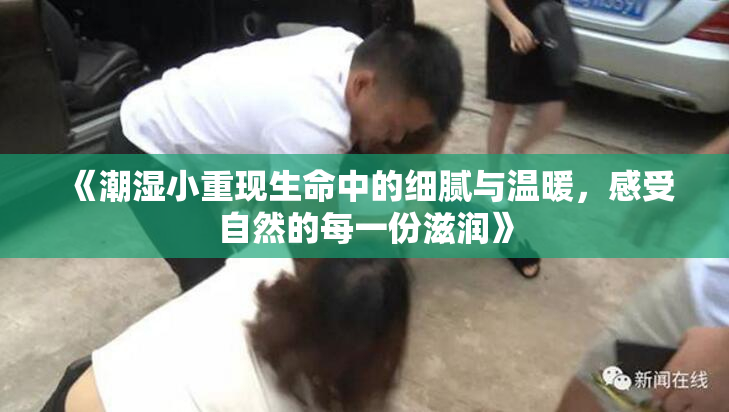 《潮湿小重现生命中的细腻与温暖，感受自然的每一份滋润》
