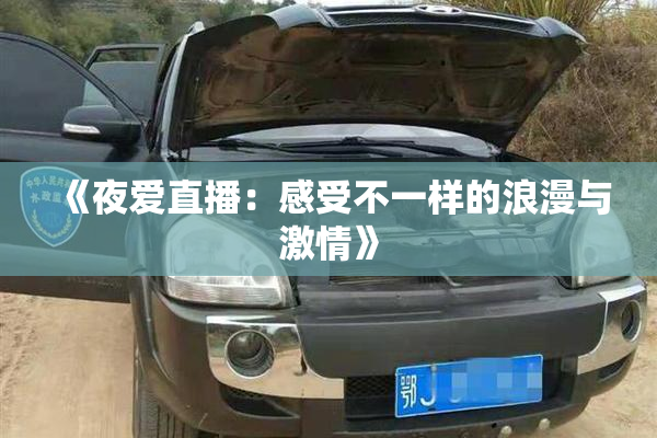 《夜爱直播：感受不一样的浪漫与激情》