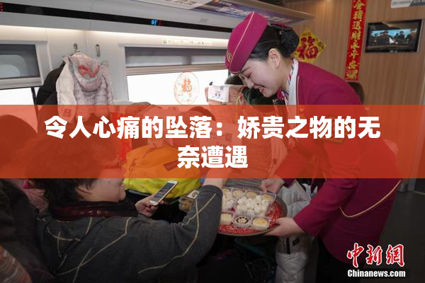 令人心痛的坠落：娇贵之物的无奈遭遇