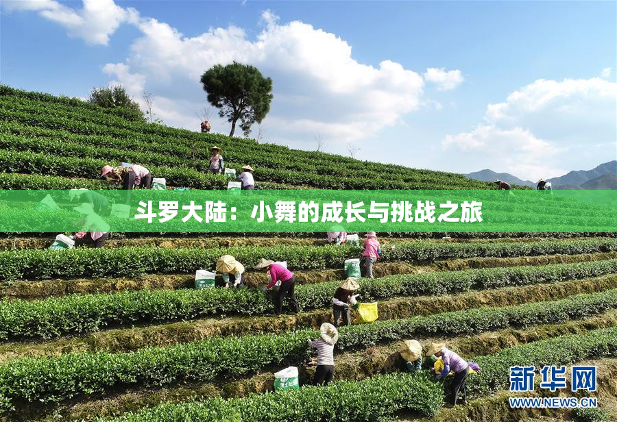 斗罗大陆：小舞的成长与挑战之旅