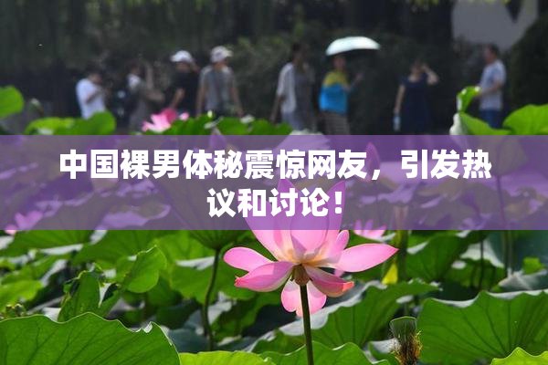 中国裸男体秘震惊网友，引发热议和讨论！