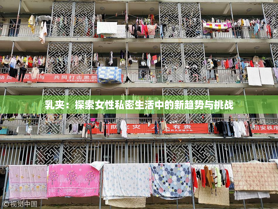 乳夹：探索女性私密生活中的新趋势与挑战